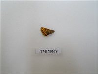 藏品(粉蝶科,弄蝶科)的圖片